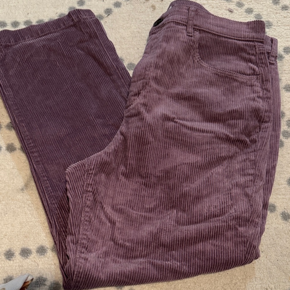 LOFT Women’s Corduroy Pants - Deep Purple